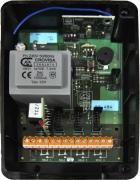 Receptor CLEMSA Mutan 868 4 c. 2