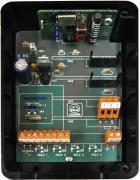 Receptor CLEMSA Molplasa 2 can.